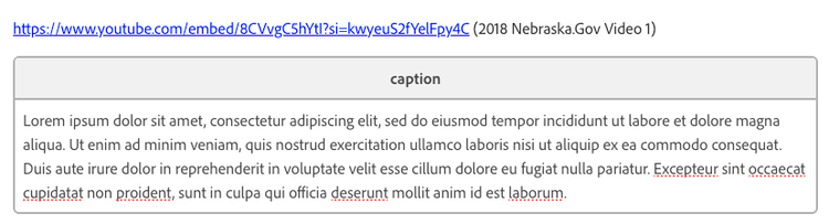 Screenshot of a youtube link followed by a caption block